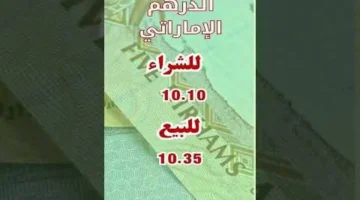 تحركات مفاجئة.. سعر الدولار أمام الجنيه المصري في تعاملات البنوك المحلية اليوم